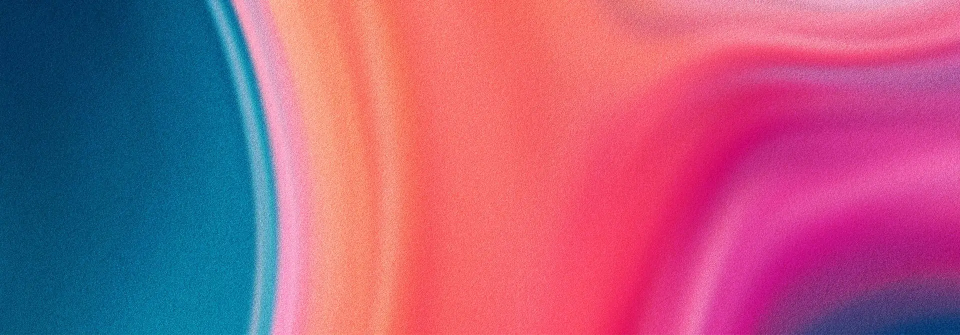 Procedury podatkowe header