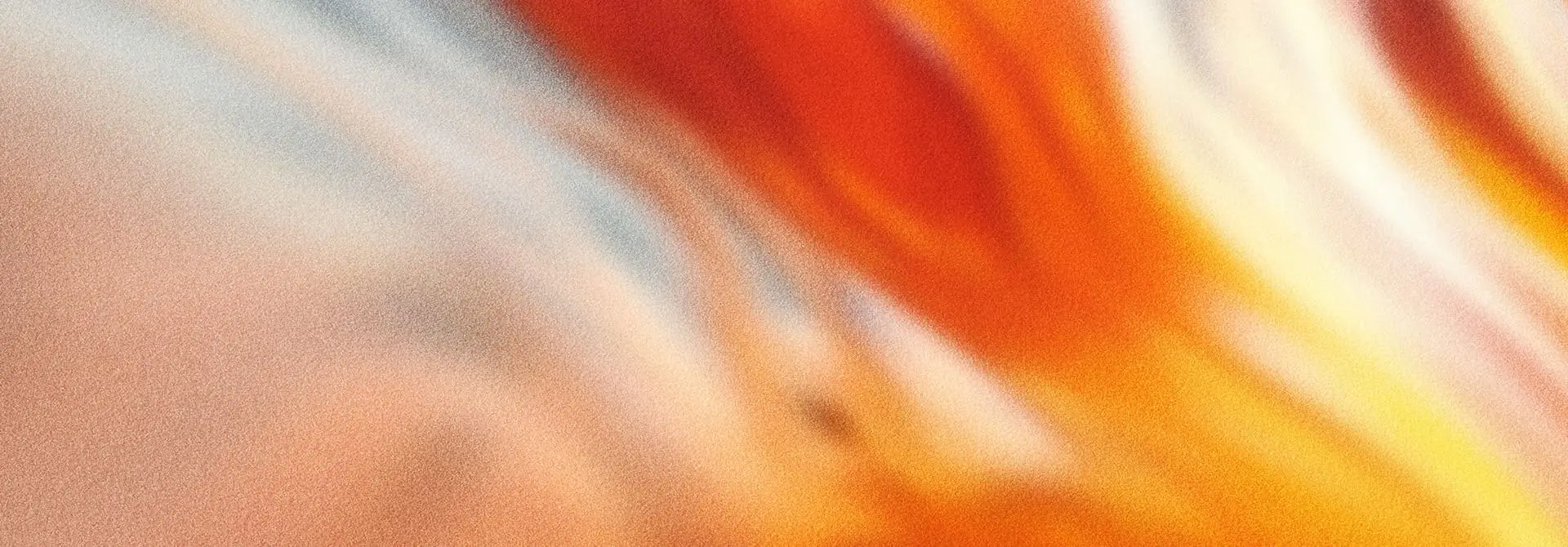 Ulgi podatkowe header